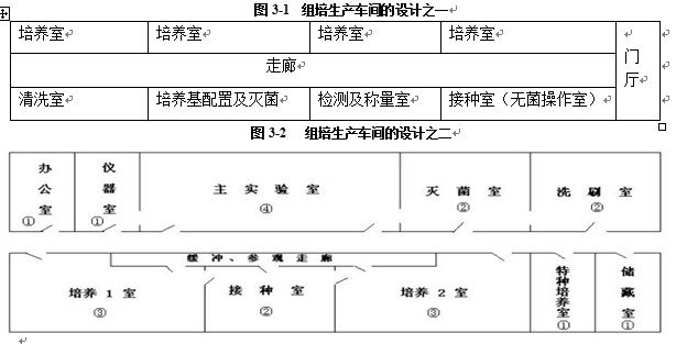 组培室设计基本规则上篇